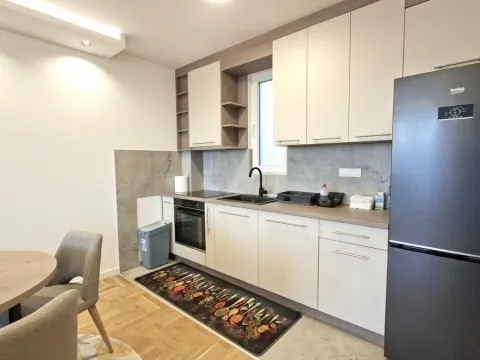 Izdavanje, dvosoban stan, 55m², Olimp, Zvezdara Sve Podlokacije - image 3