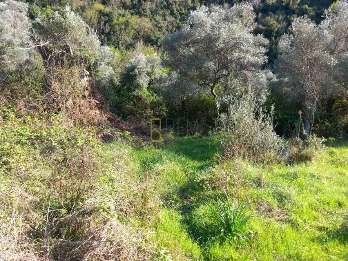 Prodaja, plac, 6700m², Kruče, Ulcinj
