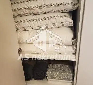 Izdavanje, dvosoban stan, 47m², Vračar Sve Podlokacije, Beograd - image 7