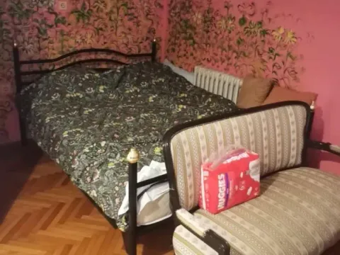 Prodaja, kuća, 250m², Karaburma, Palilula Sve Podlokacije - image 5