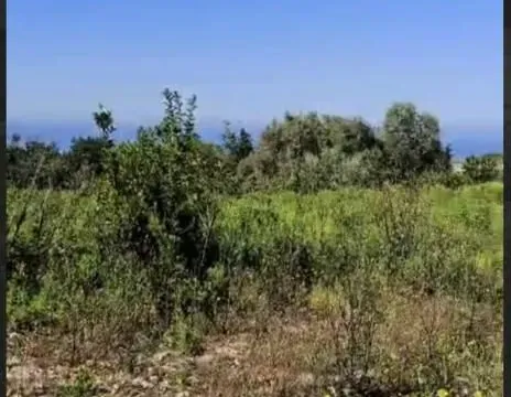 Prodaja, plac, 624m², Central Point, Podgorica - image 2