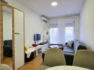 Izdavanje, jednosoban stan, 45m², Vezirov Most, Podgorica - image 1