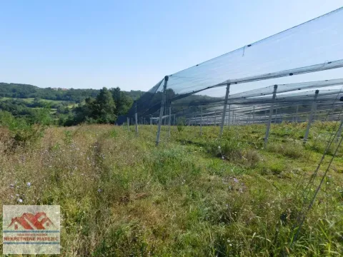 Sale, land lot, 350m², Kragujevac, Srbija - image 28