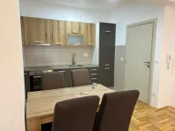 Izdavanje, jednosoban stan, 45m², Ljubović, Podgorica - image 9