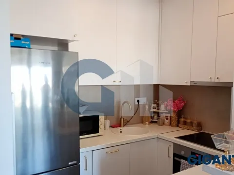 Prodaja, dvosoban stan, 75m², Dušanovac, Voždovac Sve Podlokacije - image 4