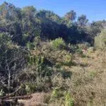 Prodaja, plac, 1290m², Kotor, Crna Gora - image 6