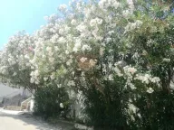 Sale, house, 80m², Budva, Crna Gora - image 10