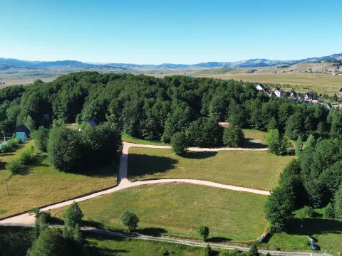 Prodaja, plac, 10000m², Žabljak II, Žabljak - image 4