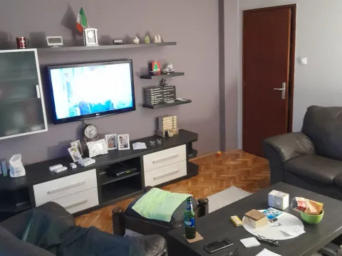 Sale, house, 214m², Veternik, Novi Sad Sve Podlokacije - image 8