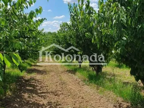 Prodaja, plac, 10200m², Sopot, Beograd - image 3