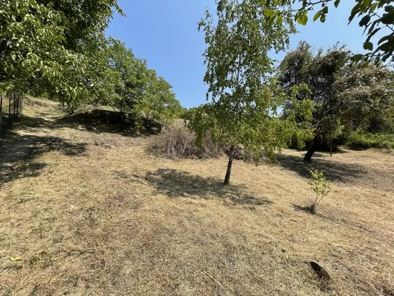 Prodaja, plac, 1500m², Rakovac, Novi Sad Sve Podlokacije