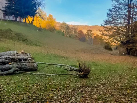 Prodaja, plac, 43000m², Šavnik, Crna Gora - image 5