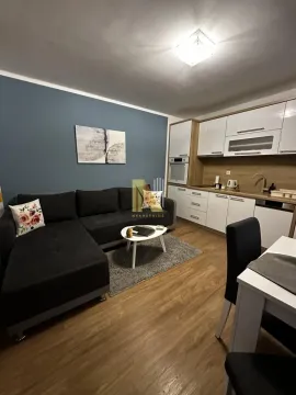 Living room with sofa and dining area connected to the kitchen. - image 9