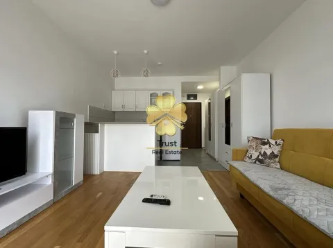 Izdavanje, garsonjera, 30m², Ljubović, Podgorica - image 3