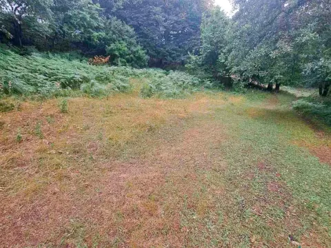 Sale, land lot, 15000m², Pljevlja, Crna Gora - image 8