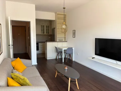 Rent, one bedroom apartment, 48m², Vezirov Most, Podgorica - image 3