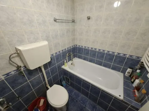 Rent, one bedroom apartment, 40m², Nova Detelinara, Novi Sad Sve Podlokacije - image 10