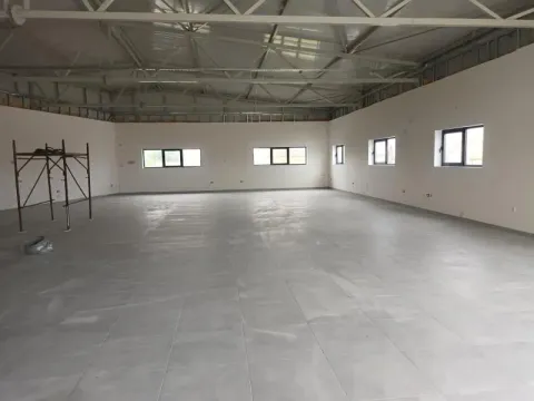 Izdavanje, poslovni prostor, 650m², Zemun Ugrinovci, Zemun Sve Podlokacije - image 4