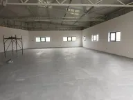 Izdavanje, poslovni prostor, 650m², Zemun Ugrinovci, Zemun Sve Podlokacije - image 4