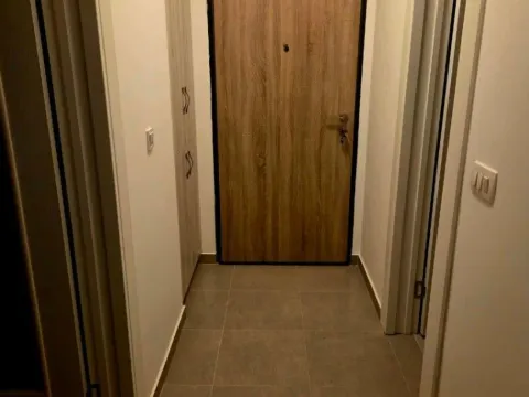 Izdavanje, jednosoban stan, 57m², Centar, Cetinje - image 8