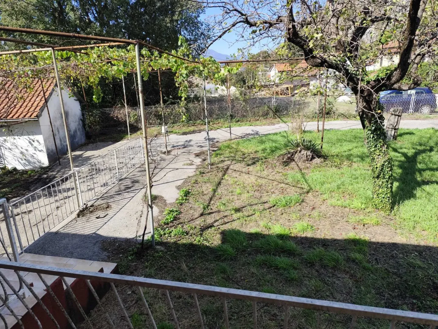 Dvorište kuće sa travnjakom, drvećem i metalnom konstrukcijom za vinovu lozu.