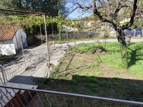 Dvorište kuće sa travnjakom, drvećem i metalnom konstrukcijom za vinovu lozu. - image 5