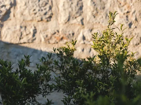 Sale, house, 197m², Reževići, Budva - image 28