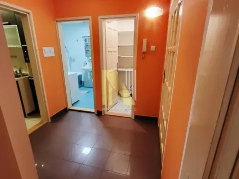 Izdavanje, dvosoban stan, 46m², Nova Detelinara, Novi Sad Sve Podlokacije - image 6