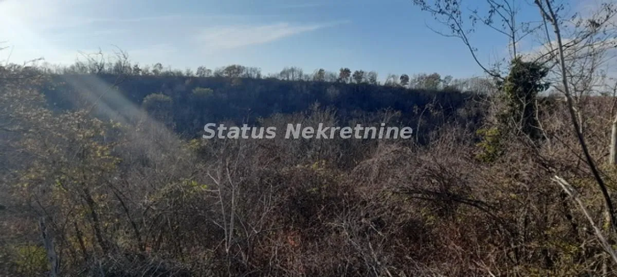 Prodaja, plac, 13011m², Beočin, Srbija