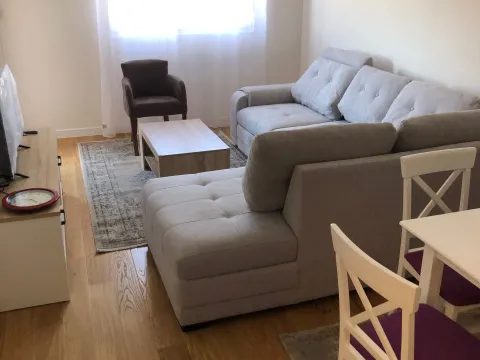 Rent, one bedroom apartment, 46m², Central Point, Podgorica - image 1