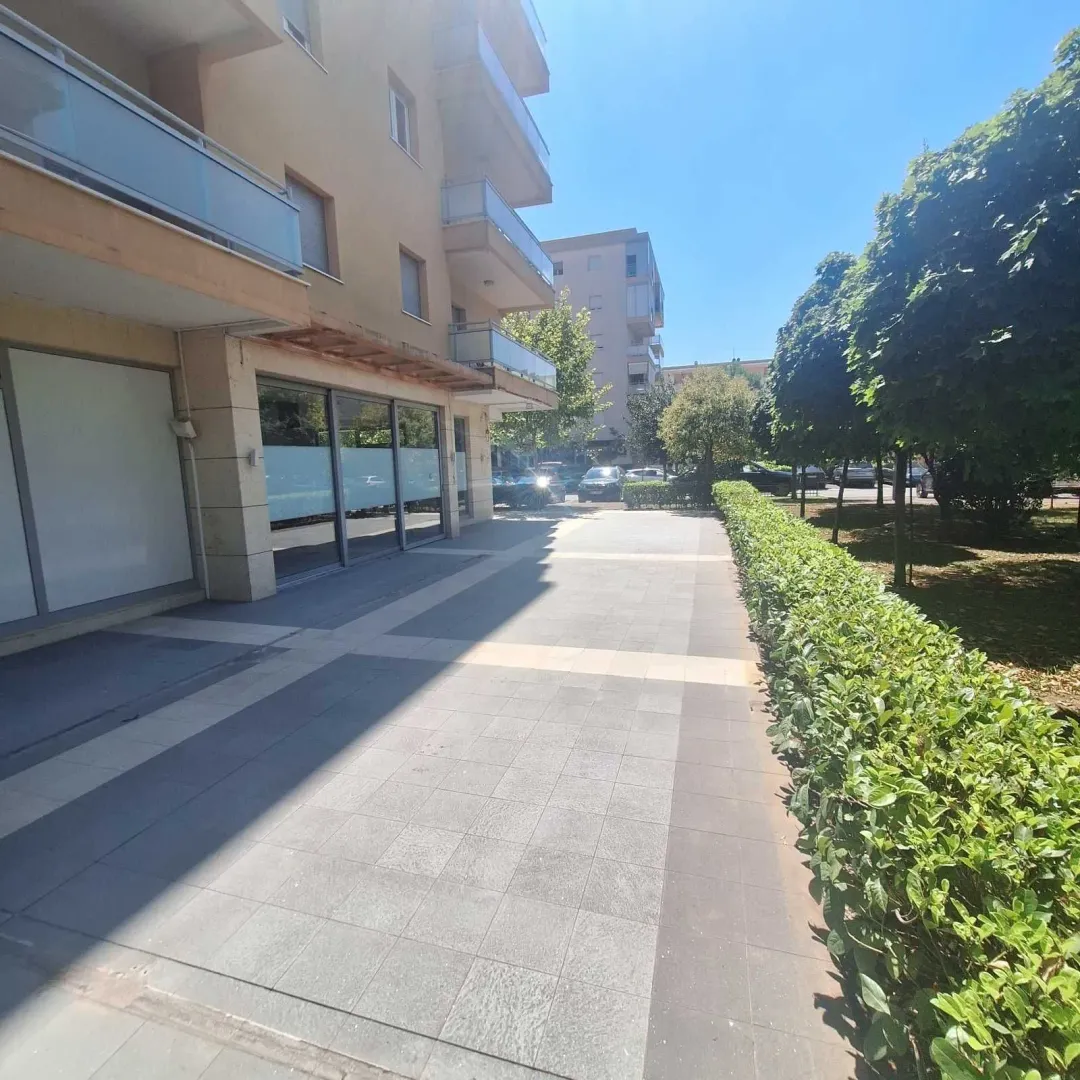 View of the paved walkway in front of the building entrance with trimmed hedge and greenery.