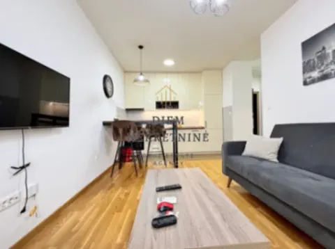 Izdavanje, jednosoban stan, 40m², Zabjelo, Podgorica - image 7