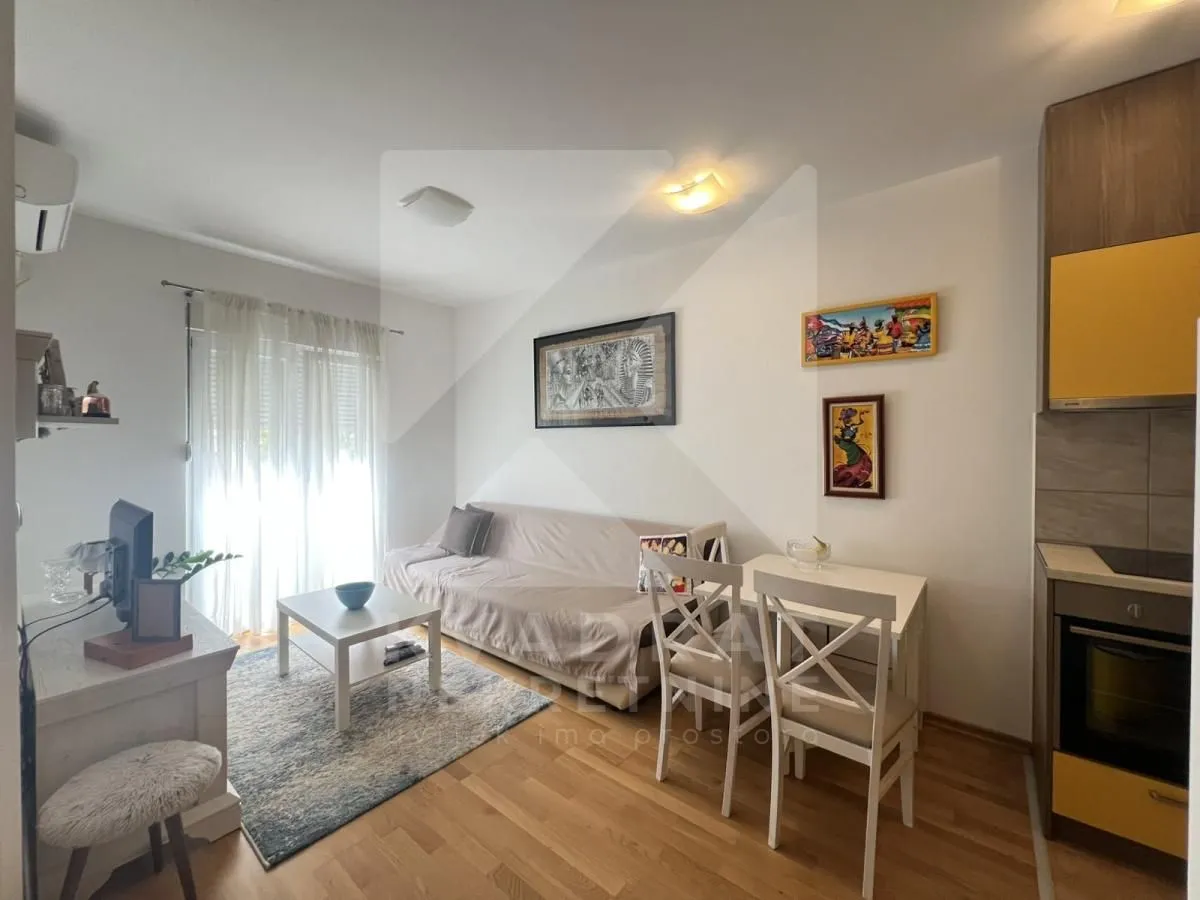 Rent, one bedroom apartment, 30m², Zabjelo, Podgorica