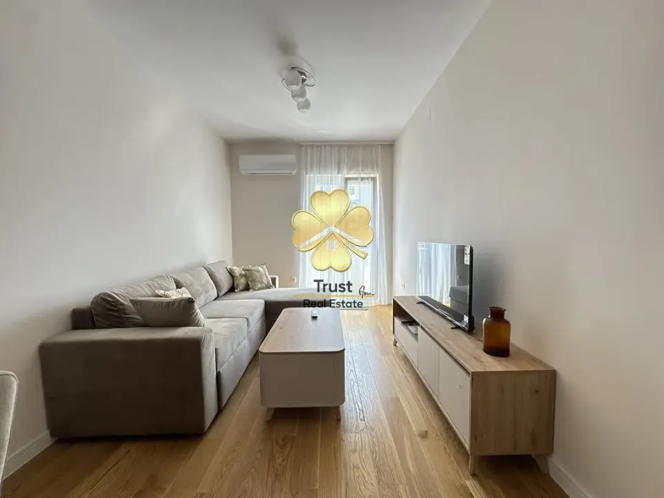 Rent, one bedroom apartment, 43m², Central Point, Podgorica