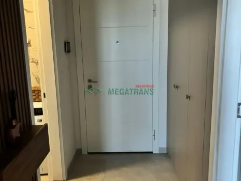 Izdavanje, dvosoban stan, 50m², Tošin bunar, Novi Beograd Sve Podlokacije - image 12