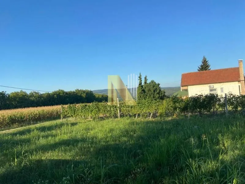 Prodaja, plac, 2800m², Banja Vrdnik, Irig