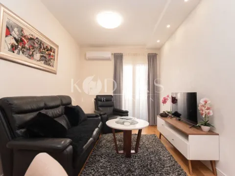 Izdavanje, jednosoban stan, 40m², Central Point, Podgorica - image 2