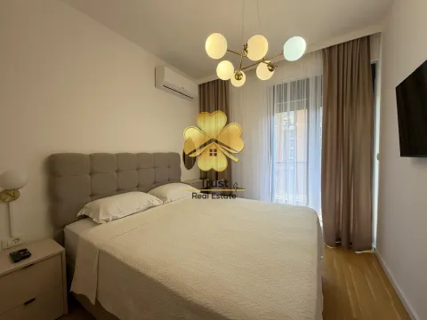 Izdavanje, dvosoban stan, 65m², Stari Aerodrom, Podgorica - image 12