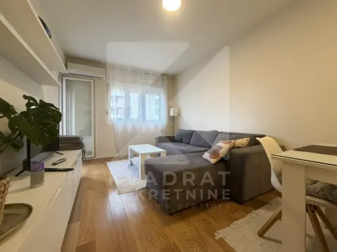 Izdavanje, jednosoban stan, 47m², Central Point, Podgorica - image 2