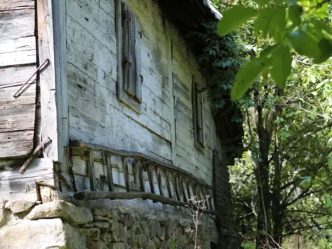 Prodaja, plac, 89208m², Padež, Kolašin - image 9