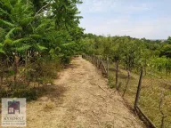 Prodaja, plac, 50m², Arnajevo, Barajevo - image 6