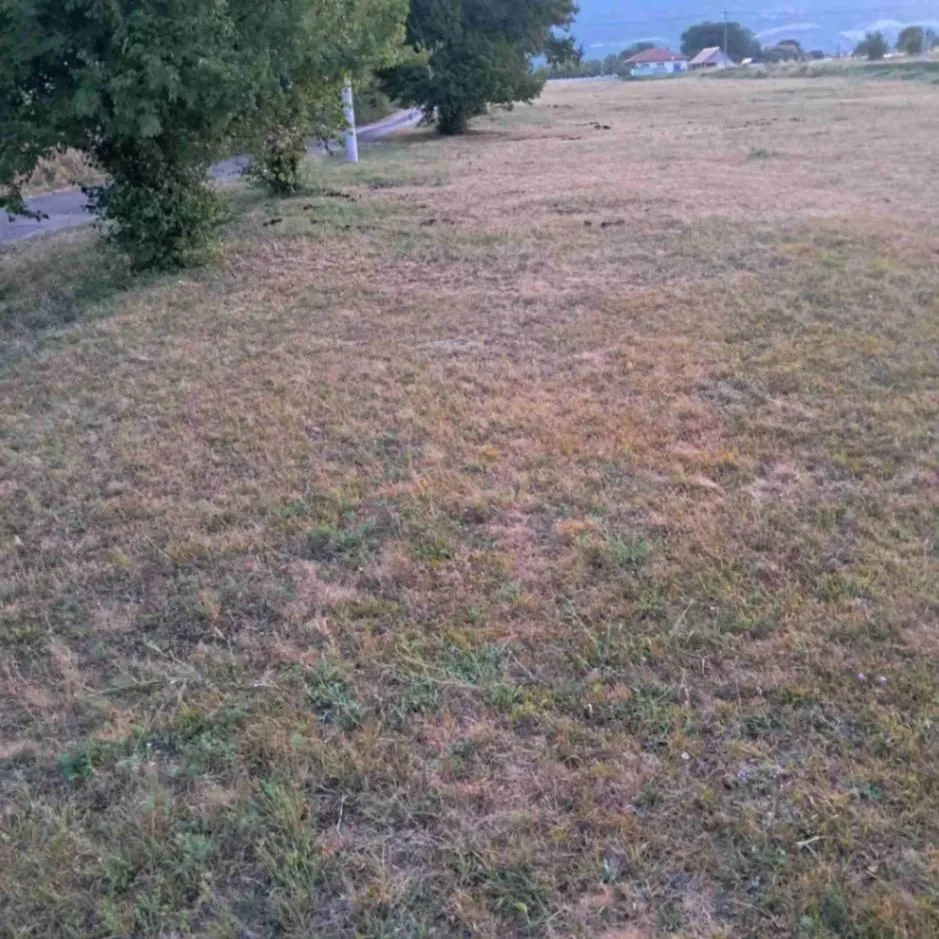 Sale, land lot, 1311m², Rastovac, Nikšić
