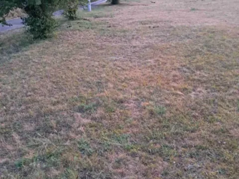 Sale, land lot, 1311m², Rastovac, Nikšić