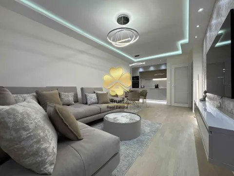 Izdavanje, jednosoban stan, 54m², Central Point, Podgorica - image 2