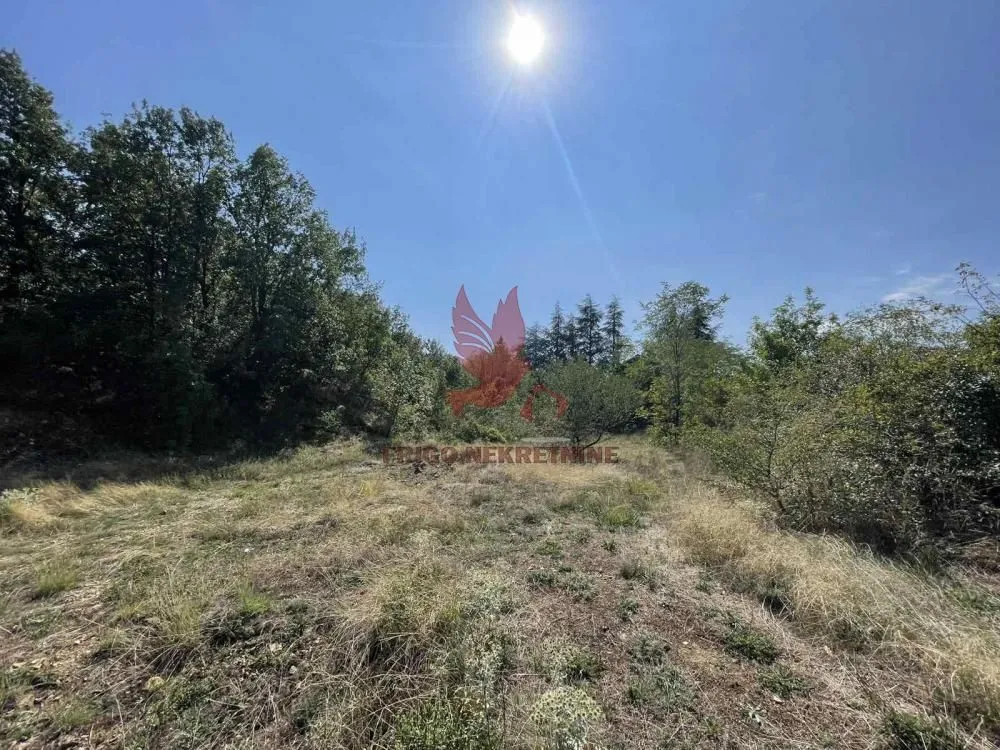 Prodaja, plac, 1000m², Mladenovac, Beograd