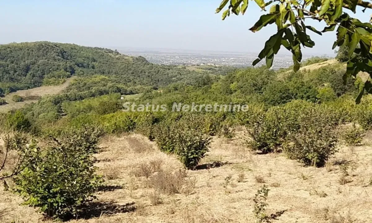 Prodaja, plac, 7900m², Ledinci, Petrovaradin