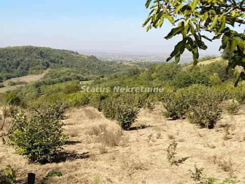 Prodaja, plac, 7900m², Ledinci, Petrovaradin - image 1