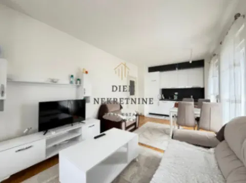 Izdavanje, jednosoban stan, 45m², Stari Aerodrom, Podgorica - image 12