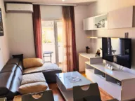 Izdavanje, jednosoban stan, 43m², Integralovo, Nikšić - image 1