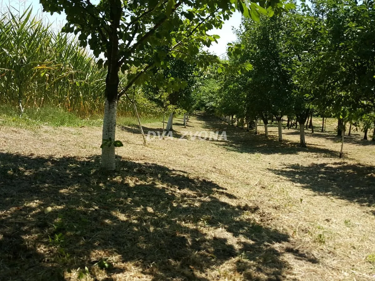 Prodaja, kuća, 65m², Čortanovci, Inđija